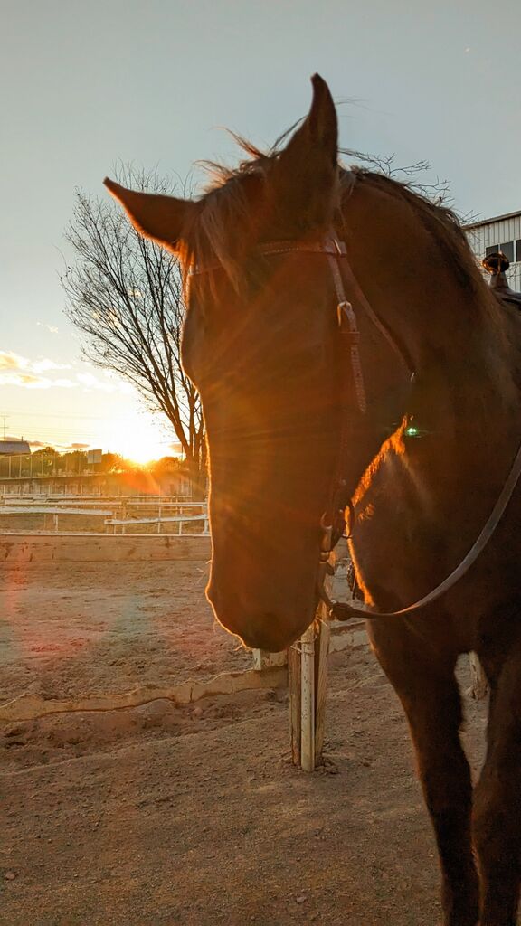 PXL_20231217_070700745~2