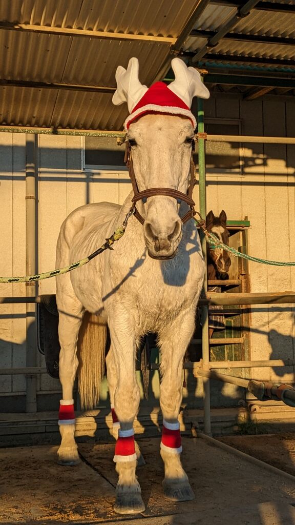 PXL_20231225_070050494