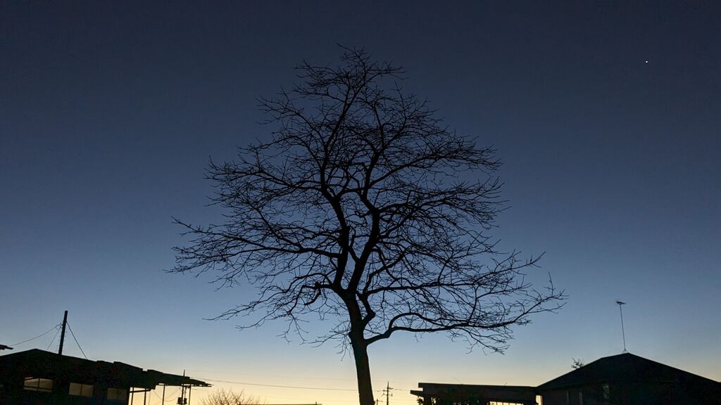 PXL_20231217_211523388