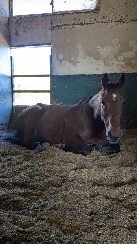 PXL_20231120_014015190