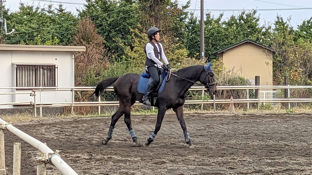 PXL_20231028_063641475