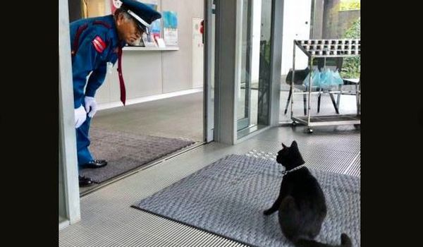ネコと警備員