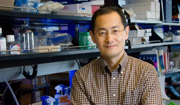 FacebookShinya Yamanaka