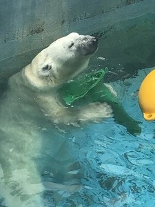 �������ɤ���������