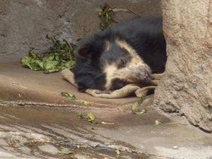 ���ۤ�̲��ᥬ�ͥ��ޤ���