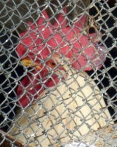 ��Ļ�γڱ����餹�˥�ȥꤵ��