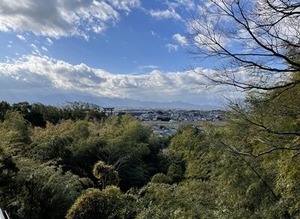 久延彦神社から大鳥居を望む