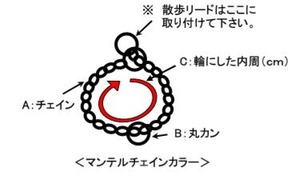 グレートデーン用チェーンカラーのお見積図