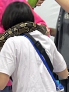ヘビを首に巻いてもらう子供