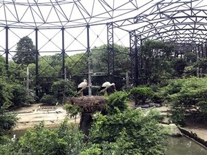 ��Τ�������򤹤륳���Υȥꤵ��