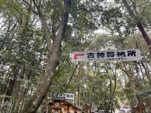 古いお札を返す場所