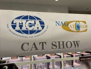 CAT SHOWの会場