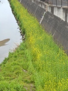 �餭�Ϥ᤿��褤�Τ��餷�ڤβ�