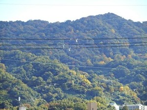 生駒山の紅葉2022年11月上旬