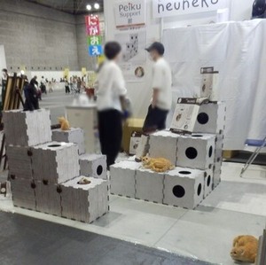 猫が遊ぶための紙製の箱