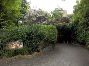 IFAR�����ե�������