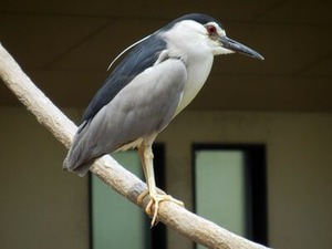 ������������2