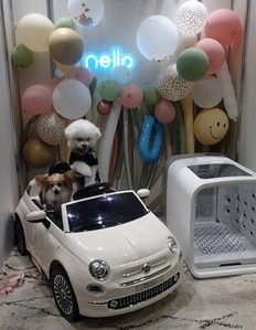 ワンコのドライヤーボックス展示ブース隣にあった撮影可能場所