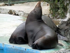 �������Υ��åץ�