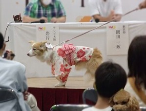 ペットと飼い主さんのお揃いコーデファッションショー