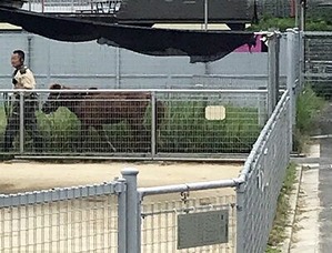 �������������Ϥ���