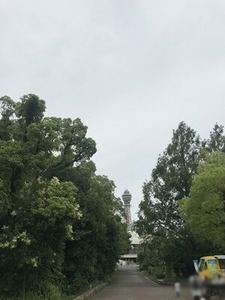 ŷ����ưʪ�������ƻ