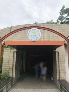 �쥳�����