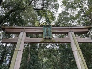 二の鳥居アップ2024年