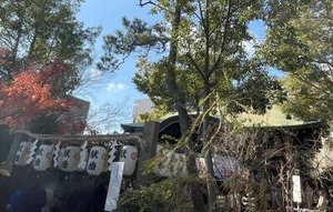 堀越神社の社殿(2025年1月2日撮影)