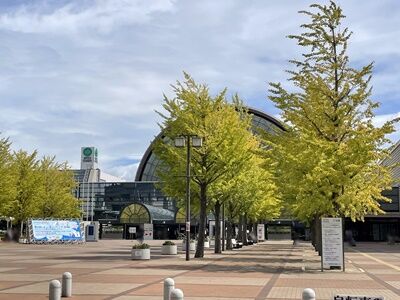 IMG_0002-001
