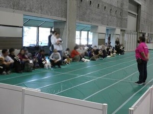 ワンコのしつけ教室