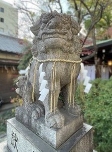 堀越神社の狛犬さん（2025年お正月）