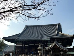 �쿴��