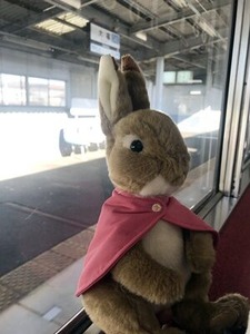 ��Ŵ�żּ���ȥ������Τ̤������