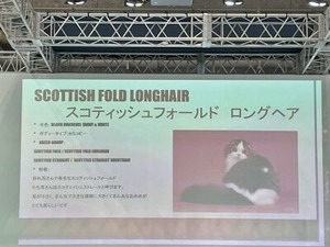 品評会で受賞したネコの紹介イベント会場での説明映像