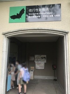 �����ưʪ��