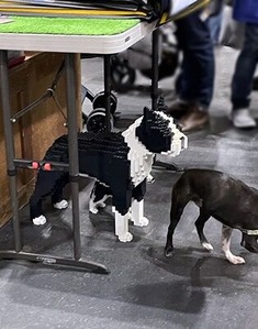 ブロック製のフレブルと本物のフレンチブルドッグ