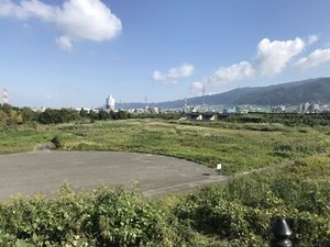 ススキの群生が広がる遊水地公園