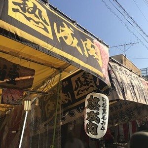 �������ε����Ƥ�����