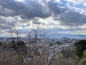 展望エリアからの大和三山