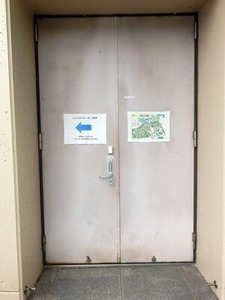 �쥳������å����롼�२�ꥢ����