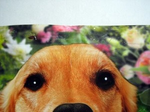 粘着テープをはがしても粘着物質が残ってしまったポスター