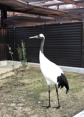 ������祦�ť뤵��