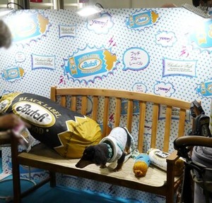 ソーセージ店のフォトエリアで撮影中のダックス君