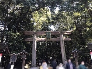 �������������Ļ��