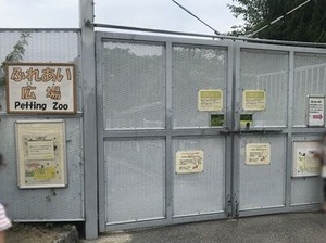 �ĺ���Τդ줢������