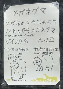 �ᥬ�ͥ��ޤ�����