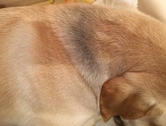 ��󥳤μ����ι�����