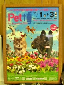 1Fに飾ったポスター