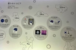 生き物の睡眠時間